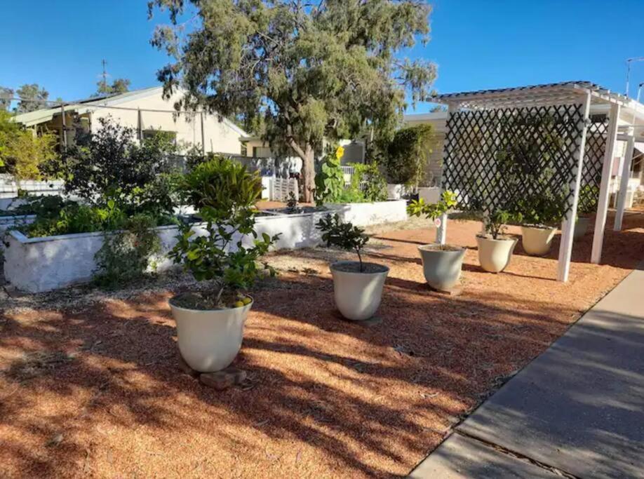 Lavender Cottage - At Home In Lightning Ridge Buitenkant foto