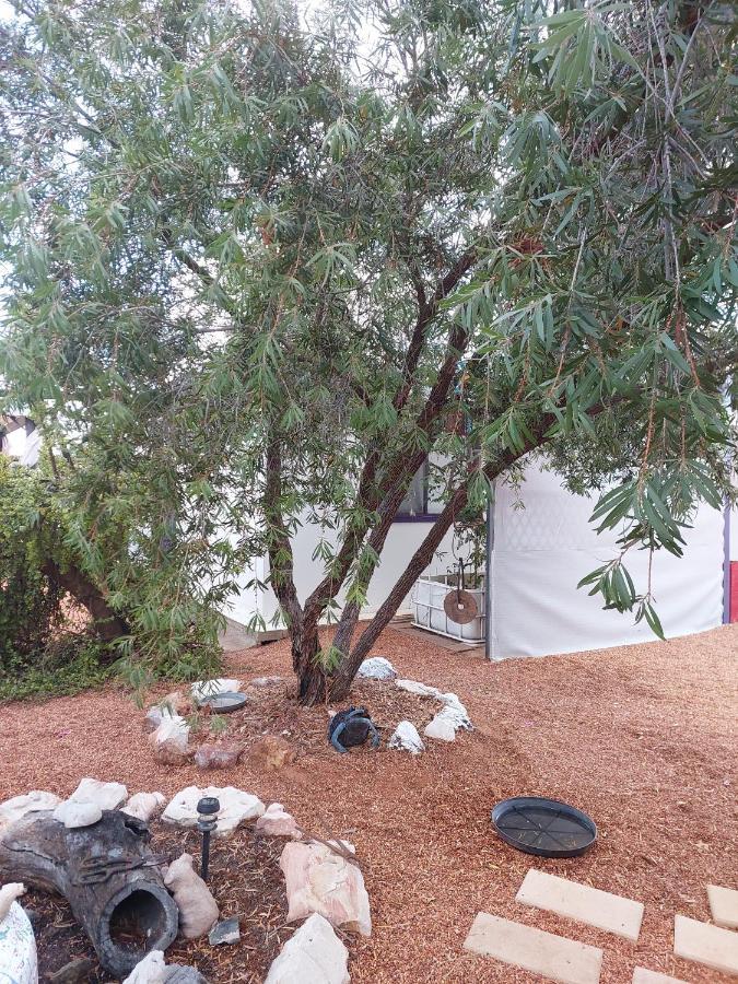 Lavender Cottage - At Home In Lightning Ridge Buitenkant foto